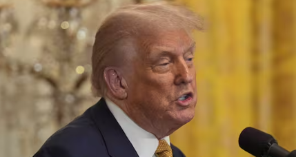 Trump Umumkan Tarif 15% untuk Jepang