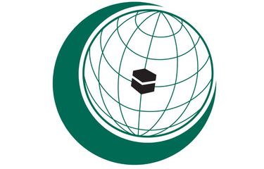 OKI Serukan Hentikan Rencana Israel di Gaza